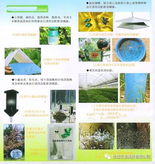 果樹害蟲性信息素誘芯使用說明