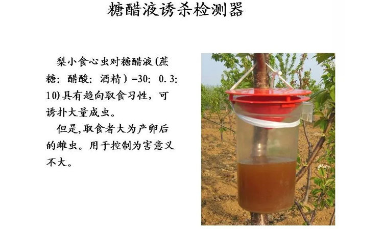 果樹病害防治技術