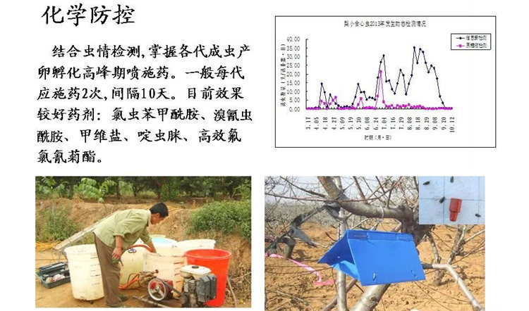 果樹病害防治技術