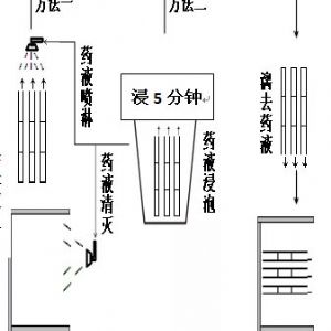 壁蜂樂防治蜂螨使用說明