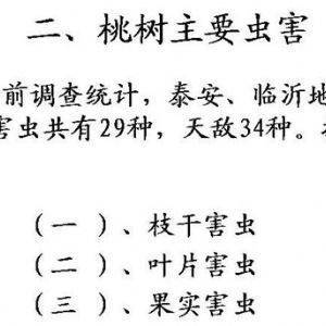 蘋果、桃、櫻桃主要病害防治技術