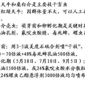 蘋果、桃、櫻桃主要病害防治技術