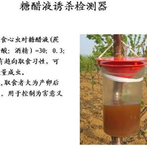 蘋果、桃、櫻桃主要病害防治技術