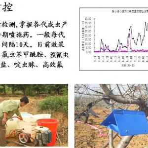 蘋果、桃、櫻桃主要病害防治技術